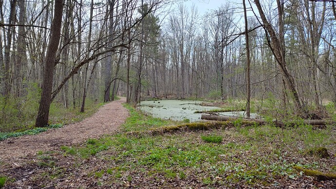 IMG_20260423_181024754_HDR