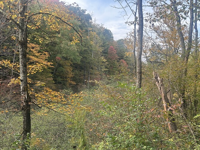 IMG_7653