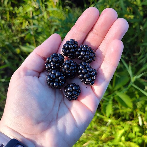 IMG_20250718_183003549_HDR~2