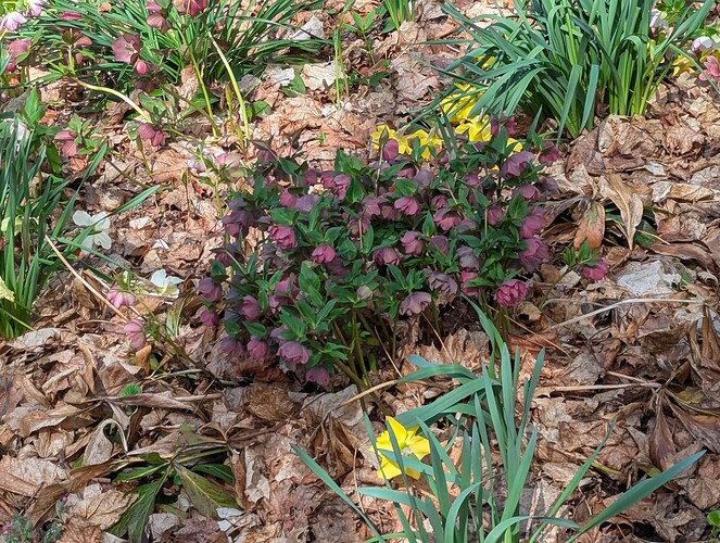 PXL_20250420_155221034
