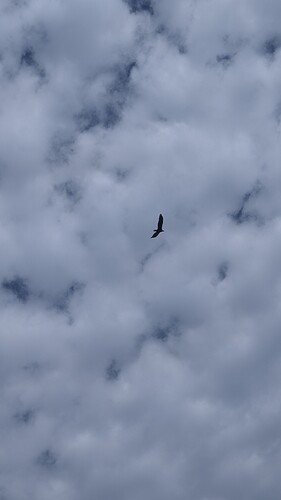 PXL_20260627_132128681