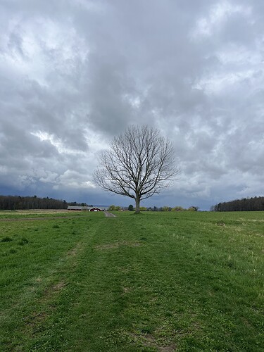 IMG_8979