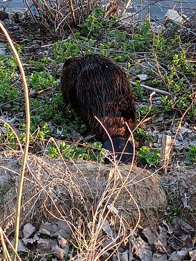 IMG_20250423_190507913