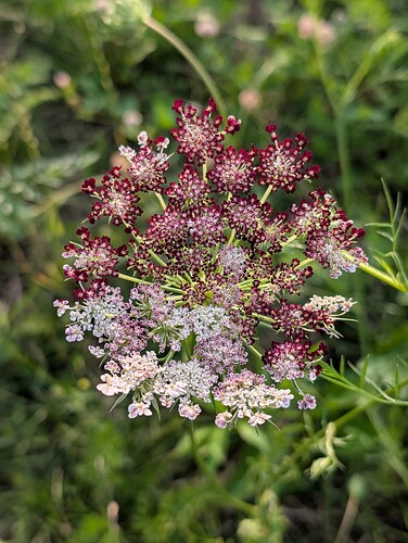 PXL_20250714_232130273