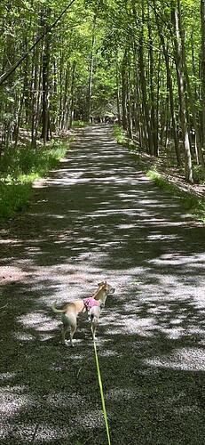 IMG_9133