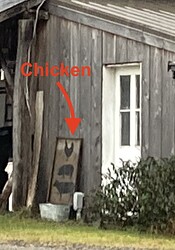 2-chicken