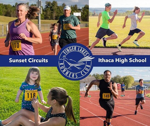 Sunset Circuits 2026 banner