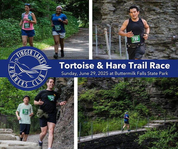 Tortoise and Hare banner 2025