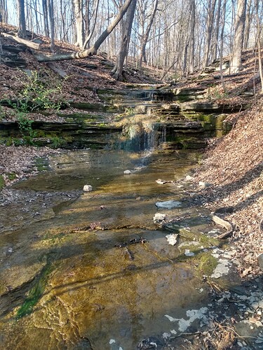 cayuga cliffs