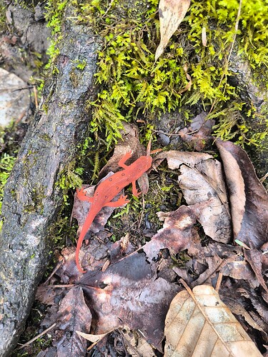 IMG_20250426_111736115_HDR