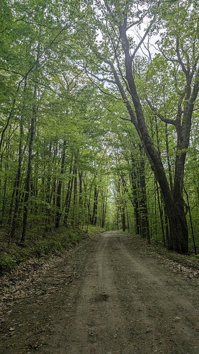 PXL_20250517_190333574