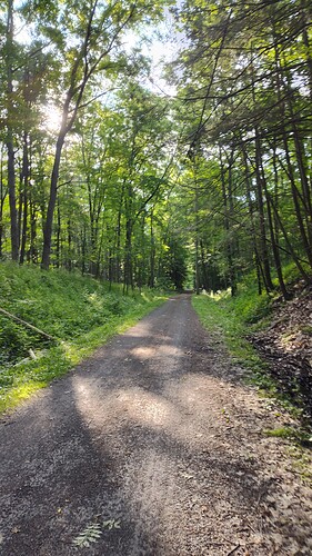 IMG_20260613_074819772_HDR