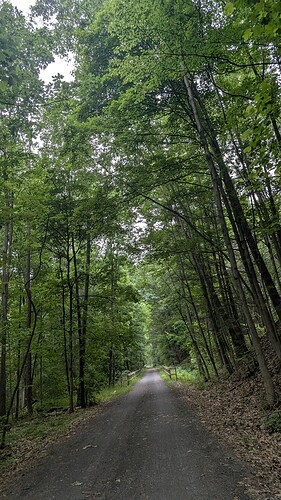 PXL_20260614_131150637