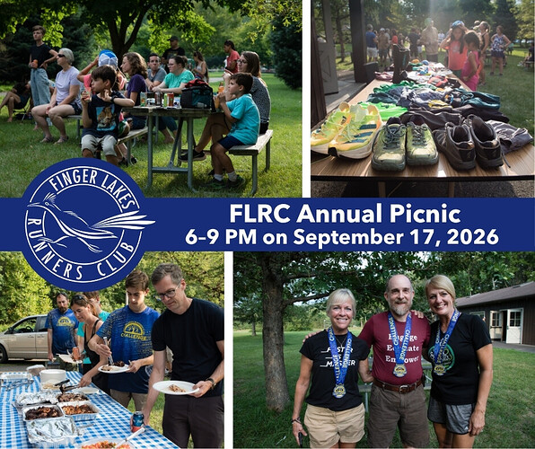 Picnic banner - 2026