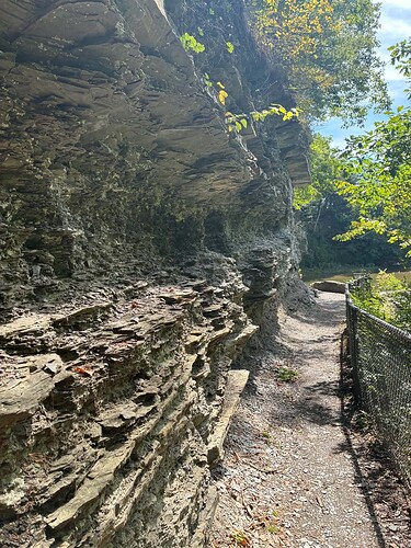 Path Beside Lake Treman