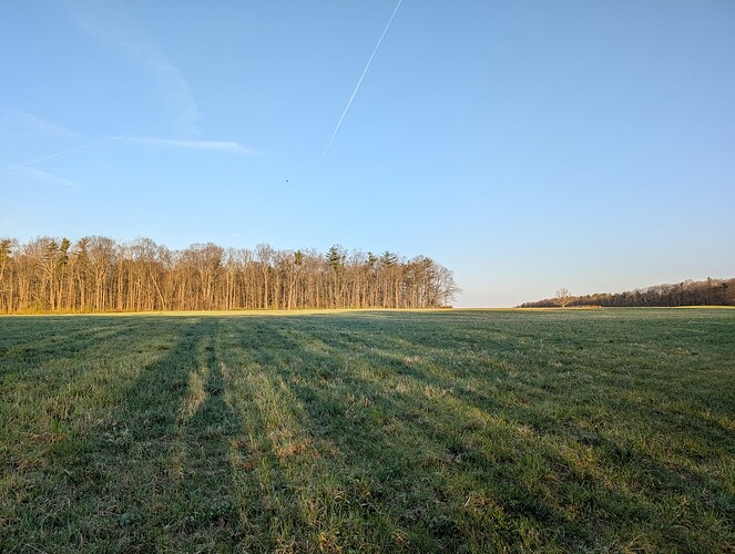 PXL_20250423_110309767