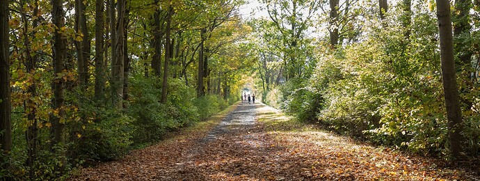 Parallel of Latitude