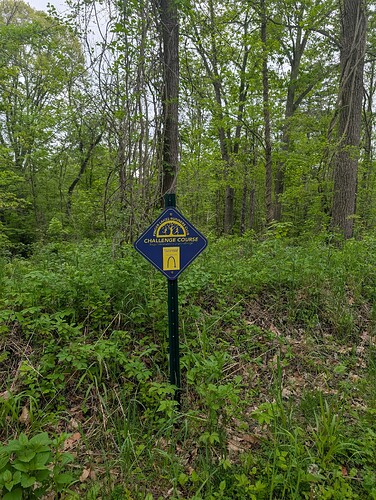 PXL_20250515_115155302