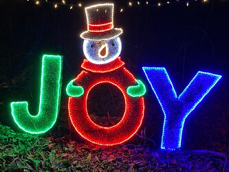 2-joy-lights