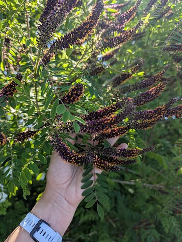 PXL_20260608_202123447