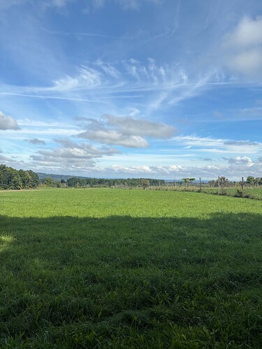 clouds